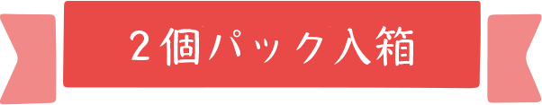2個パック入箱