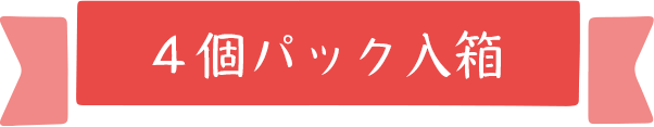 4パック入り箱