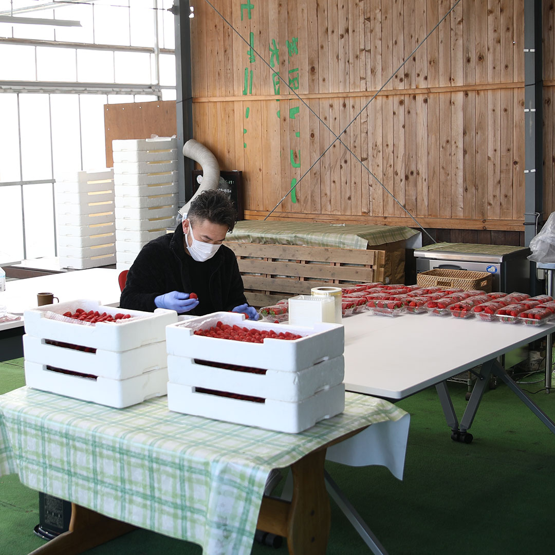 １２月２７日(土)の営業について🍓