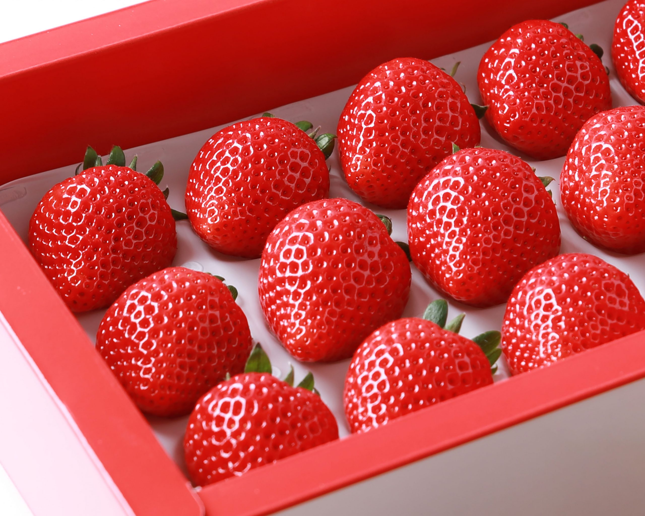 おすすめ🍓商品紹介④