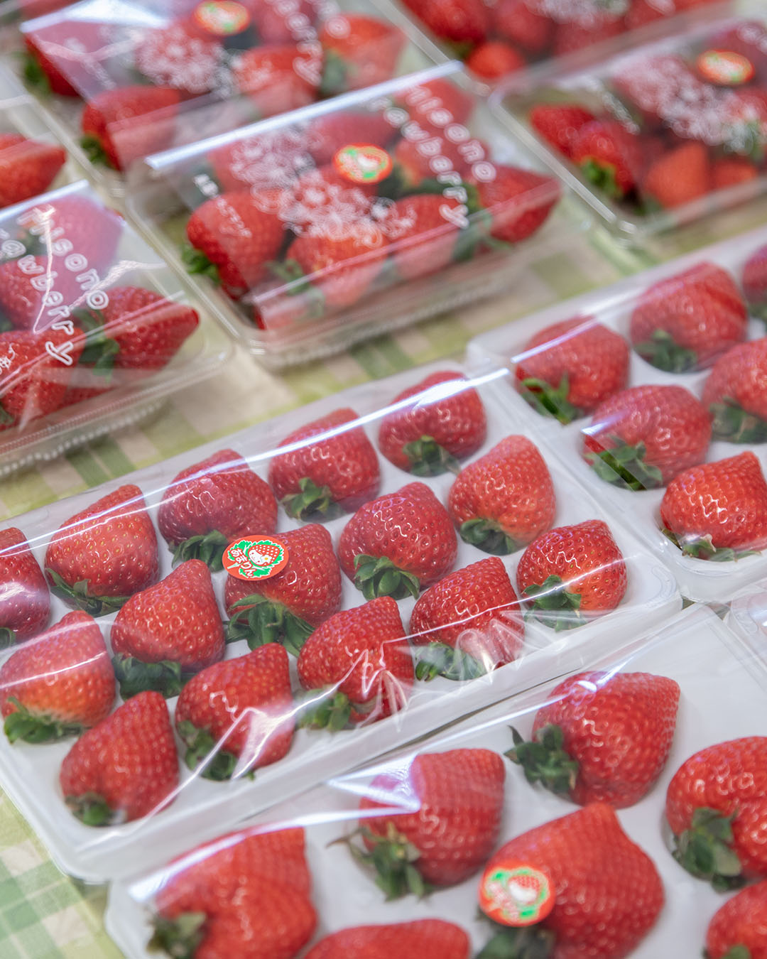１２月２４日(水)直売所OPEN🍓