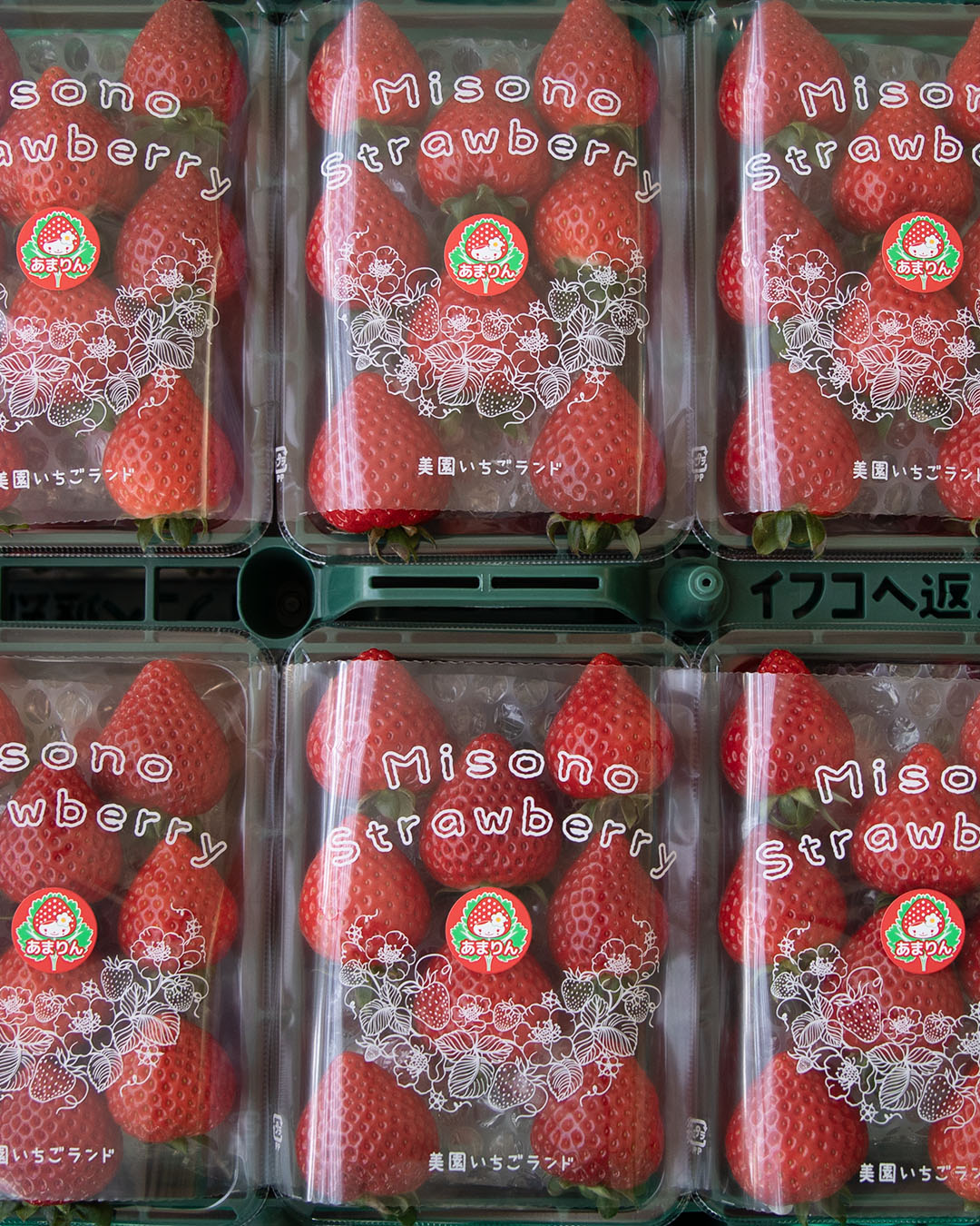 １月１１日(日)の営業について🍓