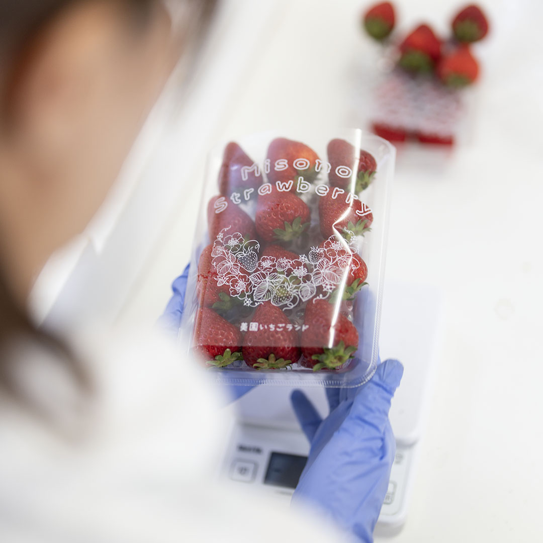 ５月６日(火)の営業について🍓