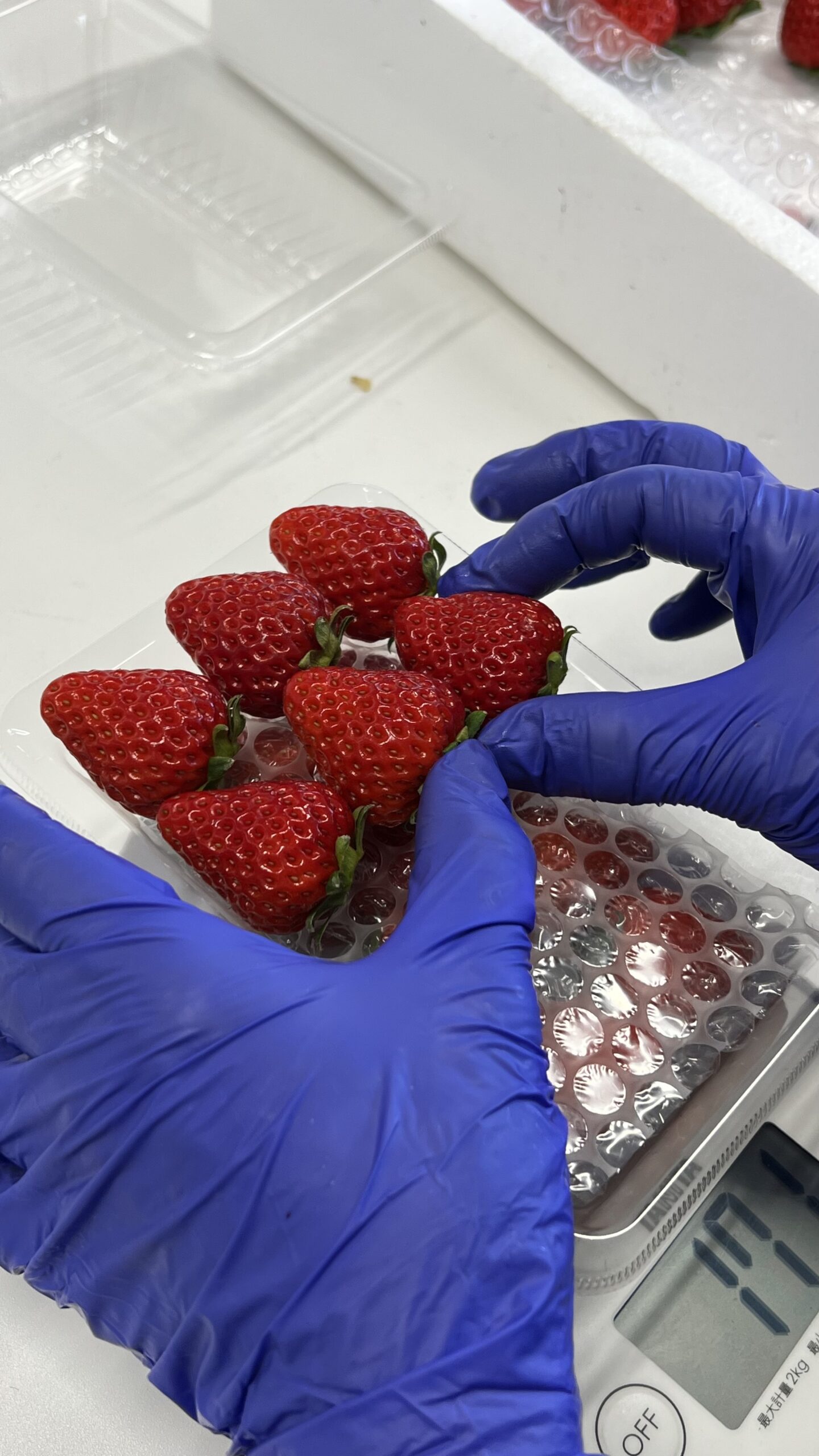 １月２０日(火)の営業について🍓