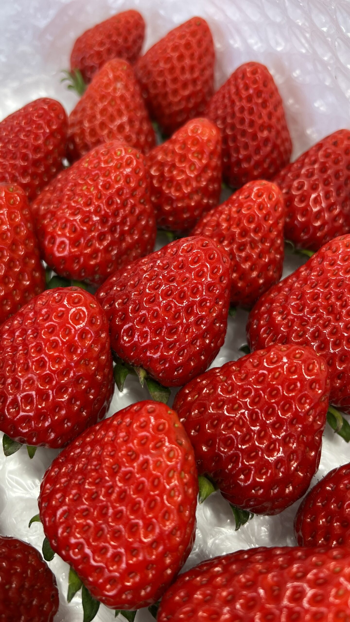 2月4日(水)の営業について🍓
