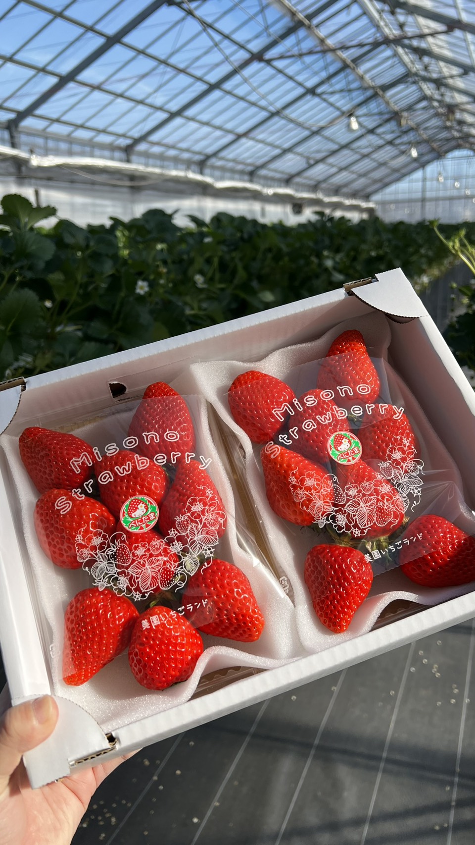 2月18日(水)の営業について🍓