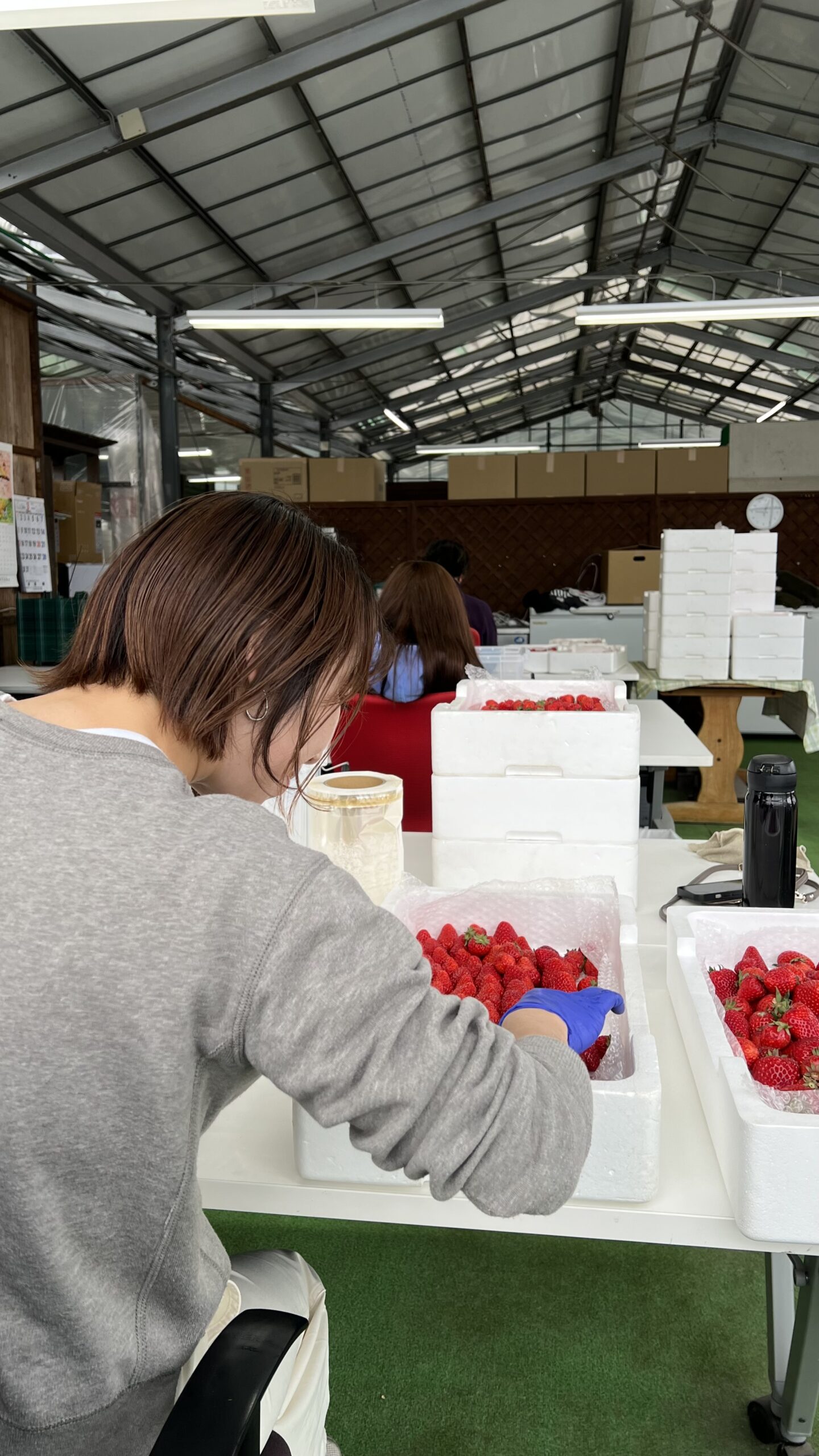 3月22日(日)の営業について🍓