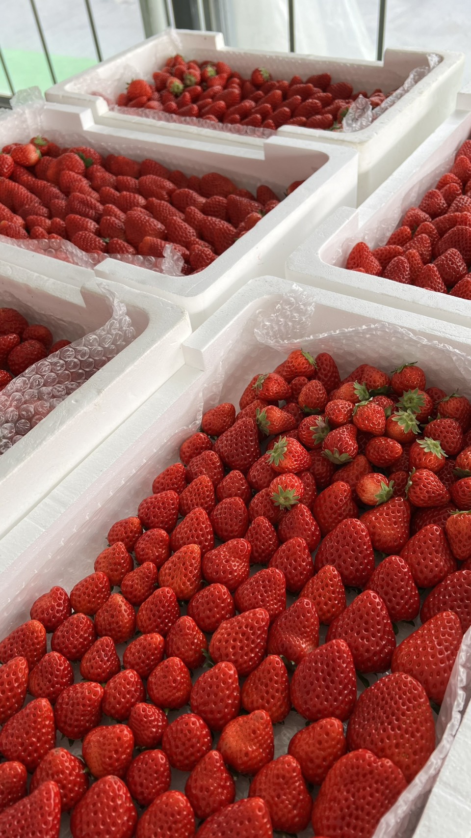 ３月７日(土)の営業について🍓