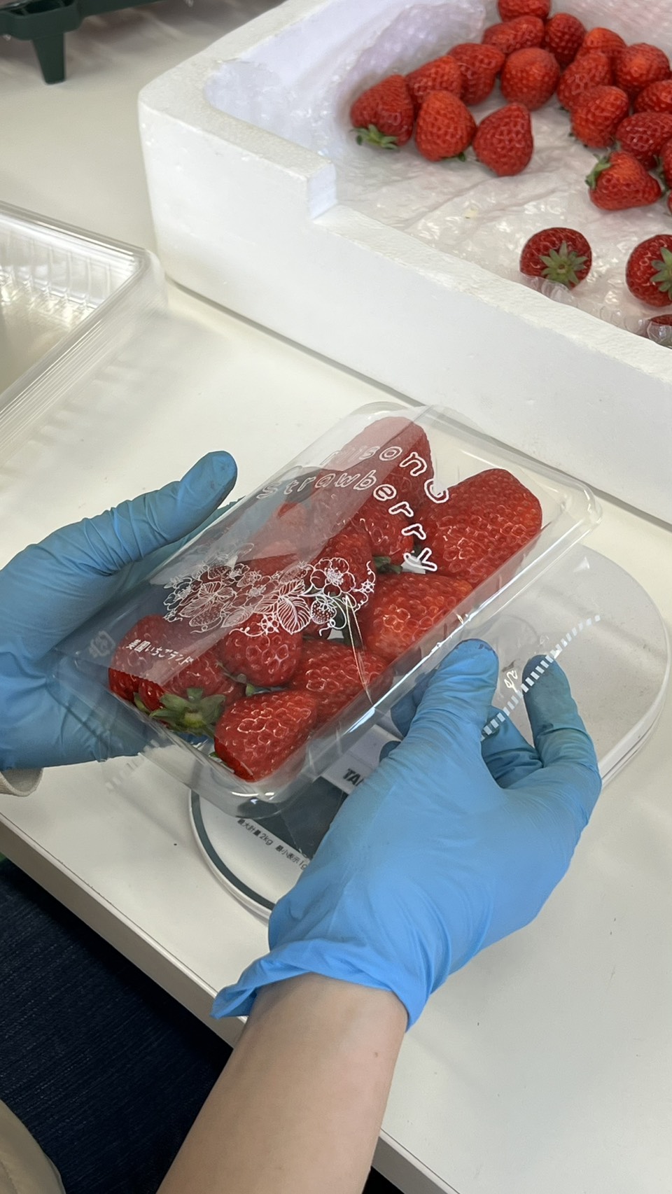 ３月１０日(火)の営業について🍓