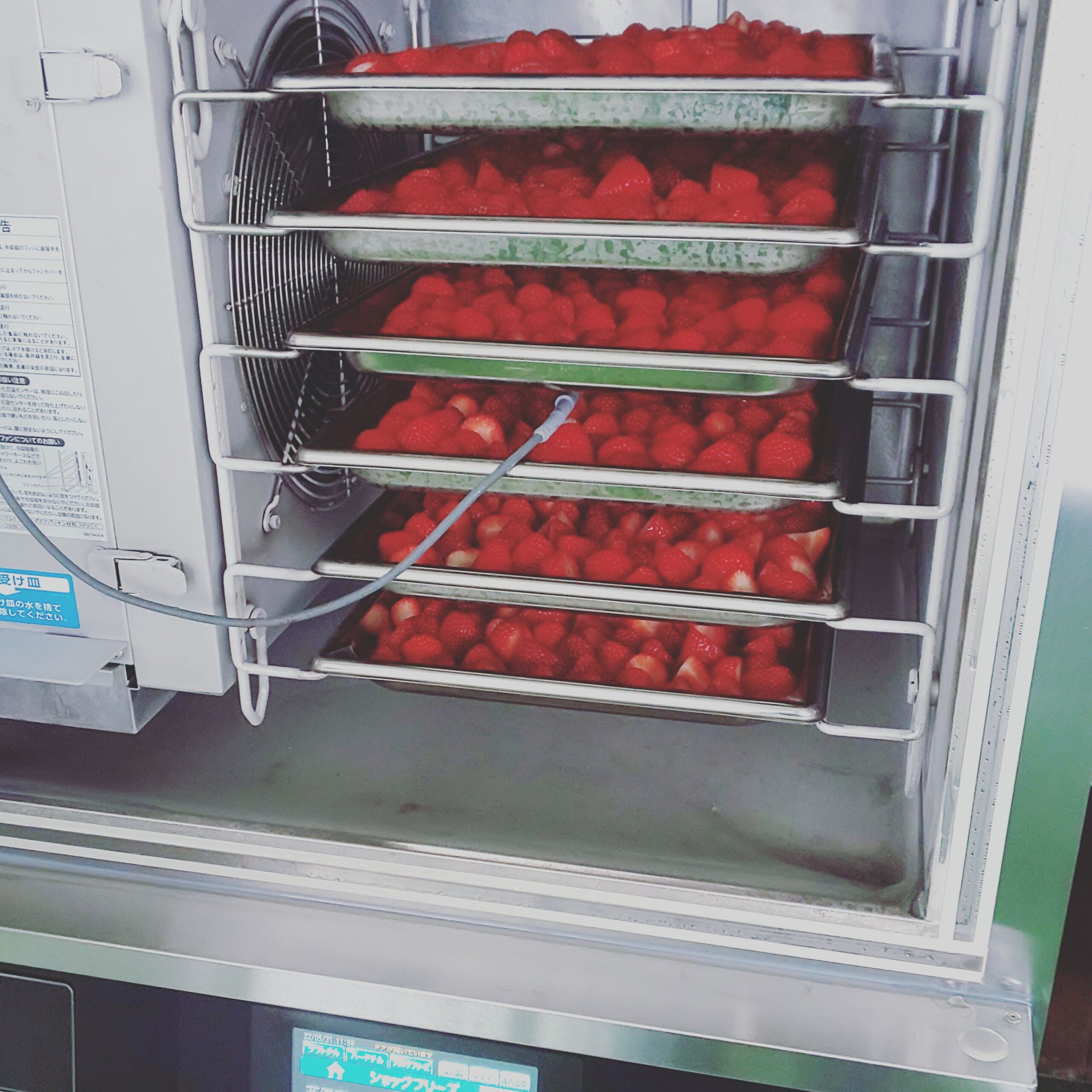 4月１０日(金)の営業について🍓